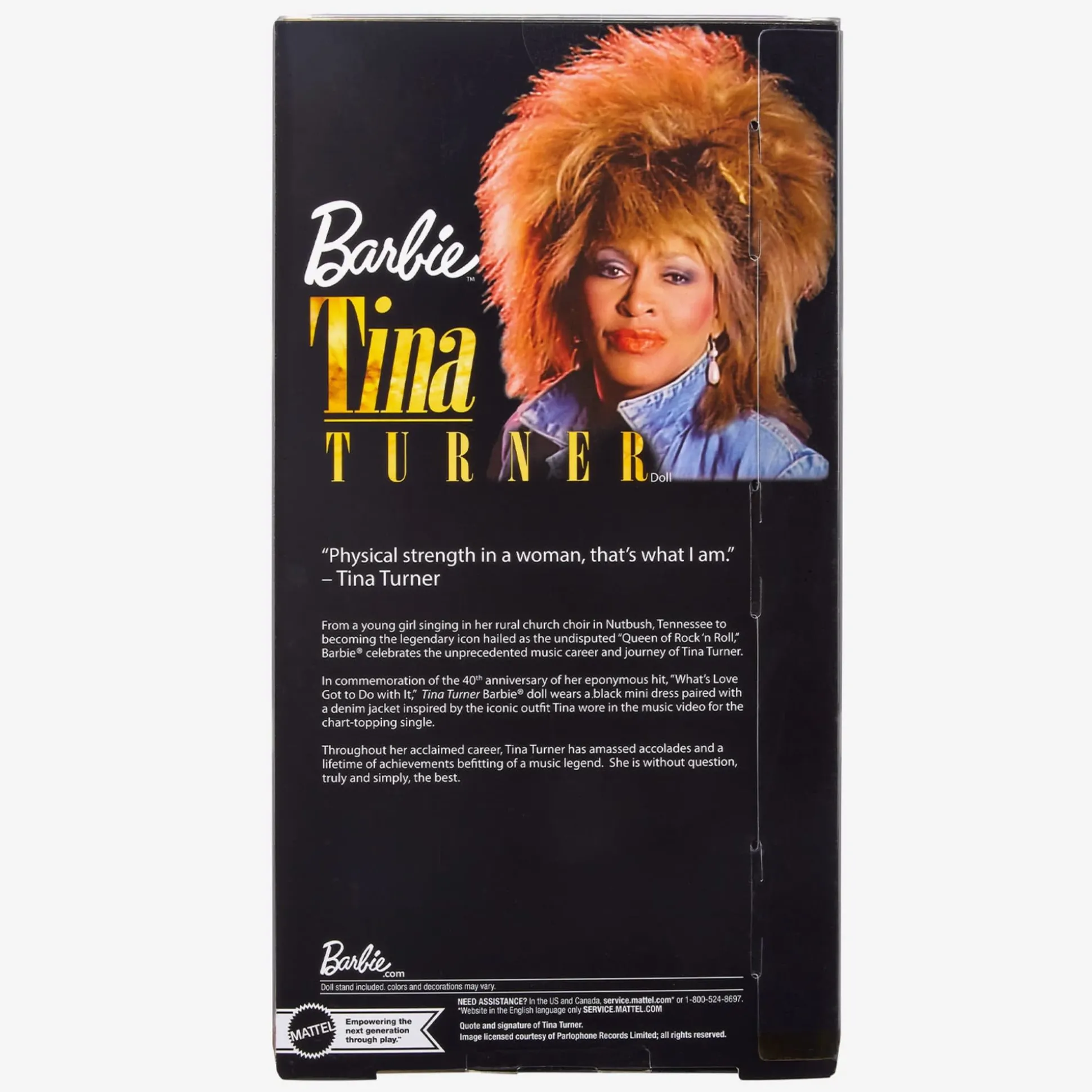 Barbie Signature Music Series Tina Turner Doll
