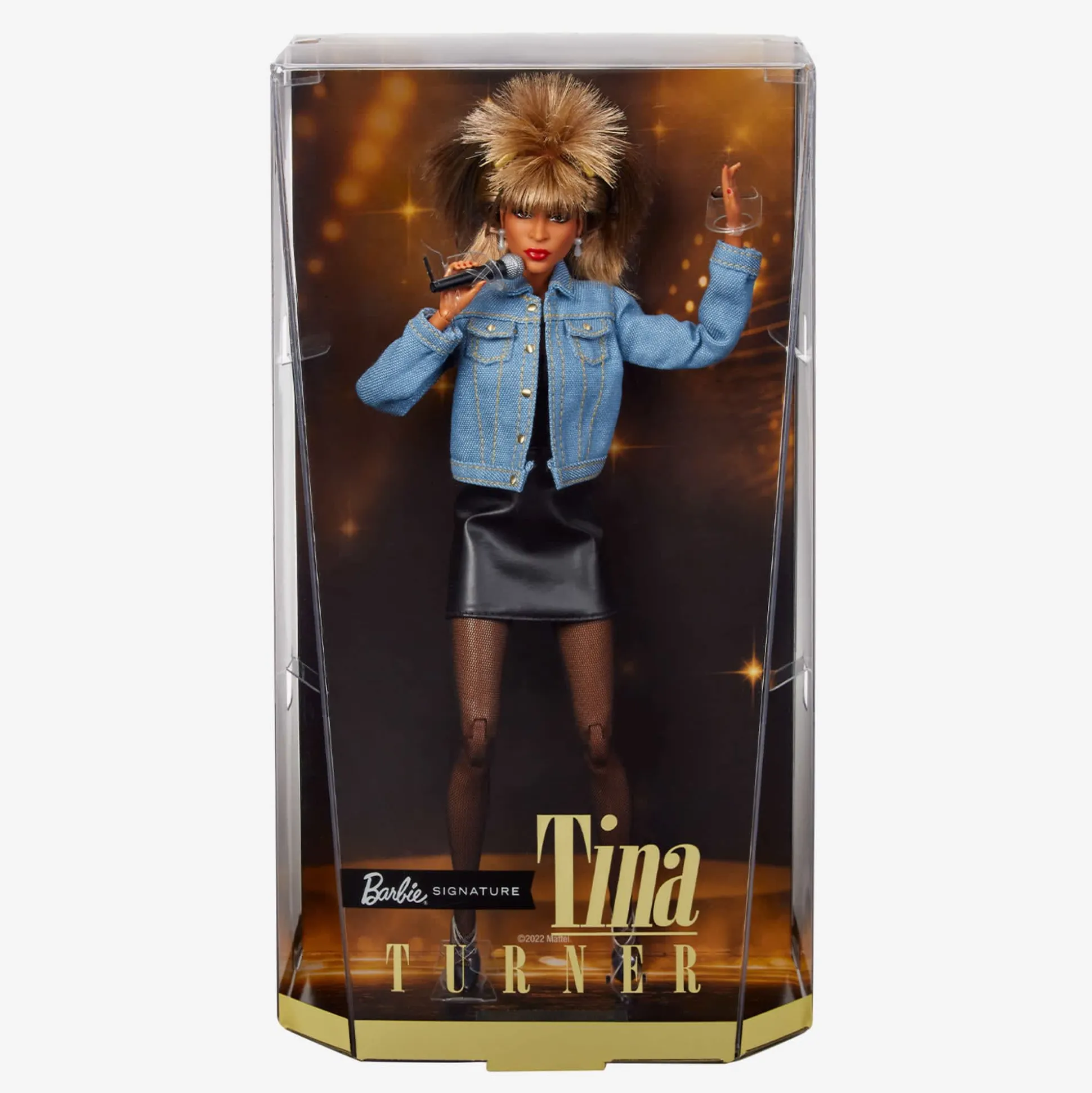Barbie Signature Music Series Tina Turner Doll