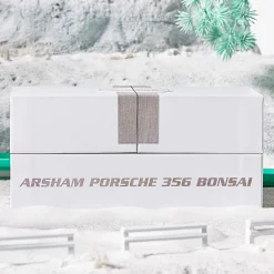 Hot Wheels x Daniel Arsham Porsche 356 “Bonsai” Speedster